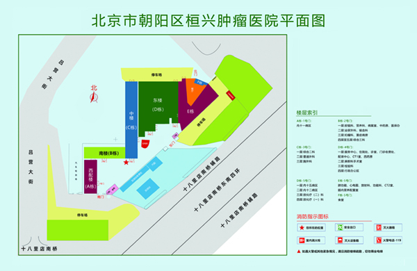 嗯嗯射给我北京市朝阳区桓兴肿瘤医院平面图